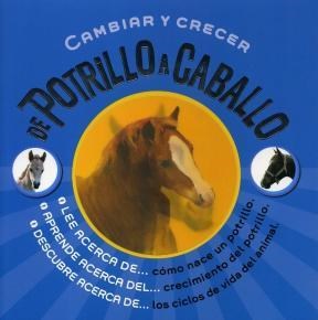 Papel DE POTRILLO A CABALLO CAMBIAR Y CRECER