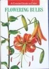Papel FLOWERING BULBS (A CONCISE GUIDE IN COLOR) (CARTONE)