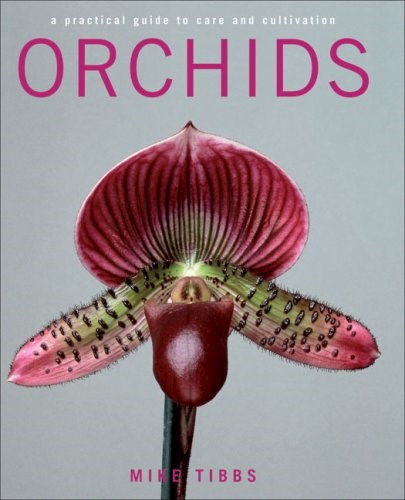 Papel ORCHIDS A PRACTICAL GUIDE TO CARE AND CULTIVATION [INGLES] (CARTONE)