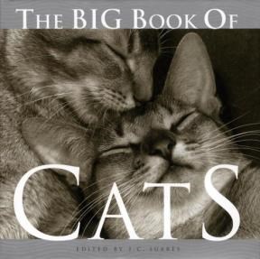 Papel BIG BOOK OF CATS (CARTONE)