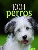 Papel 1001 PERROS (CARTONE)