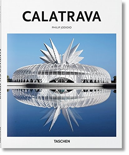 Papel CALATRAVA (SERIE BASIC ART 2.0) (CARTONE)