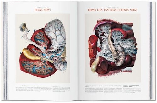 Papel ATLAS OF HUMAN ANATOMY AND SURGERY THE COMPLETE PLATES (CARTONE)