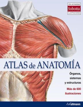 Papel ATLAS DE ANATOMIA ORGANOS SISTEMAS Y ESTRUCTURAS MAS DE 600 ILUSTRACIONES (CARTONE)