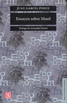 Papel ENSAYOS SOBRE MUSIL (COLECCION LENGUA Y ESTUDIOS LITERARIOS)