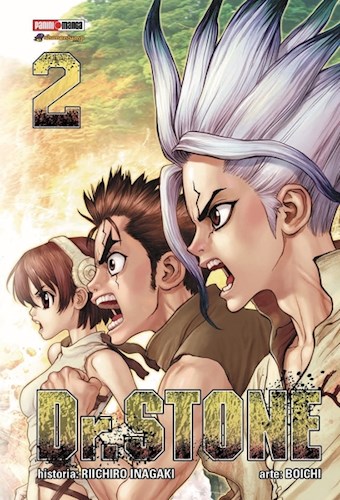 Papel DR STONE 2