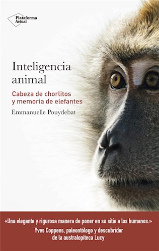 Papel INTELIGENCIA ANIMAL CABEZA DE CHORLITOS Y MEMORIA DE ELEFANTES (COLECCION ACTUAL)