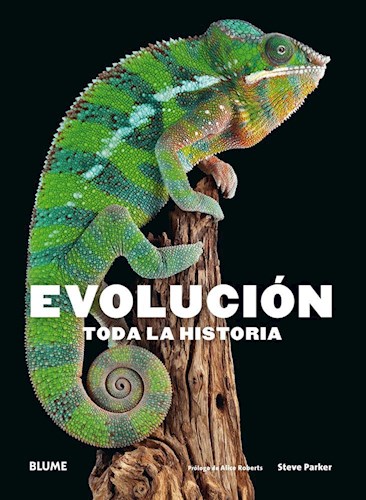 Papel EVOLUCION TODA LA HISTORIA (CARTONE)