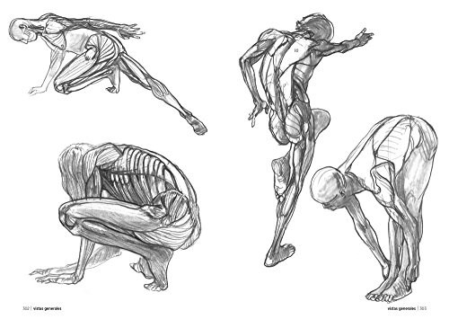 Libro Anatomía Artística 7; Cuerpos Musculados de Michel