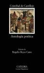 Papel ANTOLOGIA POETICA (CASTILLEJO CRISTOBAL DE) (LETRAS HISPANICAS 554)