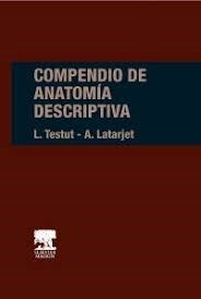 Papel COMPENDIO DE ANATOMIA DESCRIPTIVA (22 EDICION) (CARTONE)