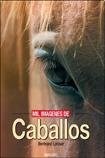 Papel MIL IMAGENES DE CABALLOS (CARTONE)