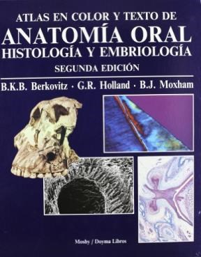 Papel ANATOMIA ORAL