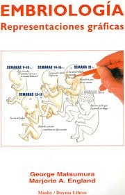 Papel EMBRIOLOGIA REPRESENTACIONES GRAFICAS