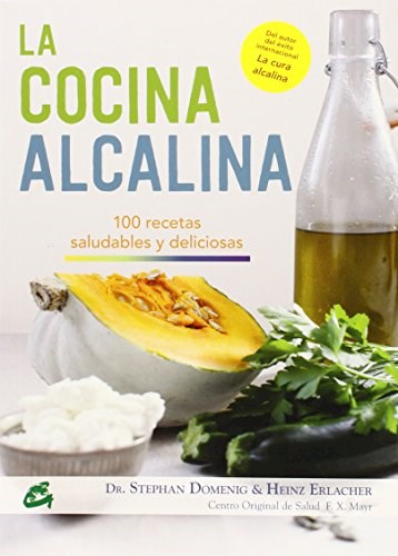 Papel COCINA ALCALINA 100 RECETAS SALUDABLES Y DELICIOSAS (ILUSTRADO) (RUSTICO)