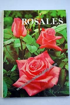 Papel ROSALES (CARTONE)