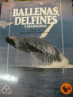 Papel BALLENAS DELFINES Y MARSOPAS