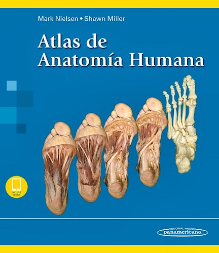 Papel ATLAS DE ANATOMIA HUMANA (INCLUYE VERSION DIGITAL)