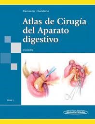 Papel ATLAS DE CIRUGIA DEL APARATO DIGESTIVO TOMO 1 (2 EDICION) (CARTONE)