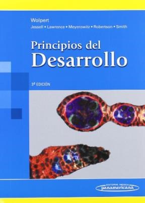 Papel PRINCIPIOS DEL DESARROLLO (3 EDICION) (RUSTICO)
