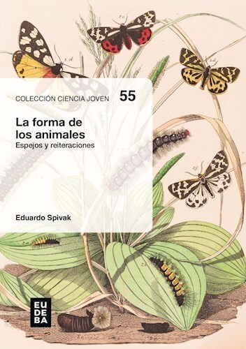 Papel FORMA DE LOS ANIMALES ESPEJOS Y REITERACIONES (COLECCION CIENCIA JOVEN 55)