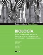 Papel BIOLOGIA 4 SANTILLANA SABERES CLAVE INTERCAMBIO DE MATERIA Y ENERGIA EN EL SER HUMANO EN LAS CELULAS