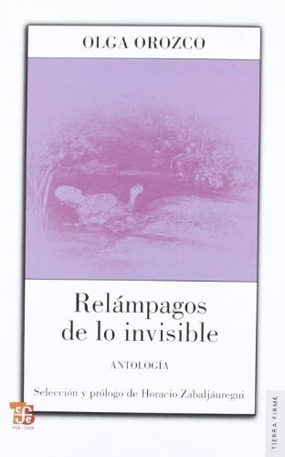 Papel RELAMPAGOS DE LO INVISIBLE ANTOLOGIA (COLECCION TIERRA FIRME)