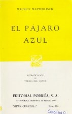 Papel PAJARO AZUL