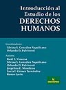 Papel INTRODUCCION AL ESTUDIO DE LOS DERECHOS HUMANOS (RUSTIC  O)