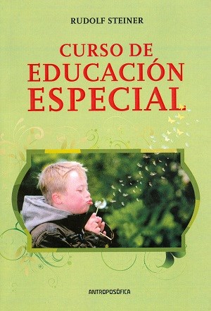 Papel CURSO DE EDUCACION ESPECIAL (RUSTICA)