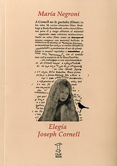 Papel ELEGIA JOSEPH CORNELL (COLECCION NUMANCIA 1)
