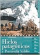 Papel HIELOS PATAGONICOS Y PENINSULA VALDES (GUIAS TURISTICAS  VISOR)