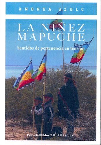 Papel NIÑEZ MAPUCHE SENTIDOS DE PERTENENCIA EN TENSION (COLECCION CULTURALIA)
