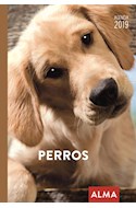 Papel AGENDA 2019 PERROS (12 POSTALES + MARCAPAGINAS + HOJAS DE NOTAS) (CARTONE)