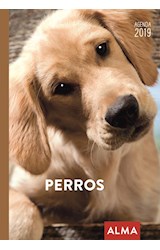 Papel AGENDA 2019 PERROS (12 POSTALES + MARCAPAGINAS + HOJAS DE NOTAS) (CARTONE)