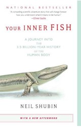 Papel YOUR INNER FISH