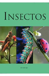 Papel INSECTOS DE TODO RIPO (MINI GUIA) (SEMIDURA)