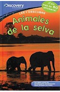 Papel ANIMALES DE LA SELVA (COLECCION LEE Y DESCUBRE) (CON MA  S DE 50 STICKERS) (DISCOVERY CHANNE