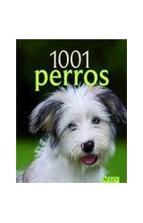 Papel 1001 PERROS (CARTONE)