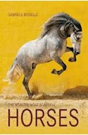 Papel WORLD'S MOST BEAUTIFUL HORSES (CARTONE)