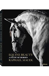Papel EQUINE BEAUTY A STUDY OF HORSES (CARTONE)