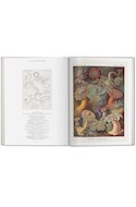 Papel ART AND SCIENCE OF ERNST HAECKEL (CARTONE)