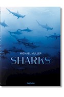 Papel SHARKS (CARTONE)
