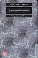 Papel ENSAYOS SOBRE MUSIL (COLECCION LENGUA Y ESTUDIOS LITERARIOS)