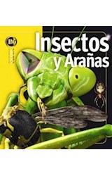 Papel INSECTOS Y ARAÑAS (INSIDERS) (CARTONE)