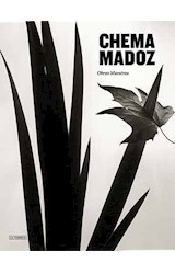 Papel CHEMA MADOZ OBRAS MAESTRAS (3 EDICION REVISADA Y AMPLIADA CON NUEVAS IMAGENES) (CARTONE)