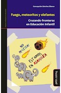 Papel FUEGO METEORITOS Y ELEFANTES CRUZANDO FRONTERAS EN EDUCACION INFANTIL (RUSTICA)