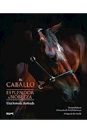 Papel CABALLO ESPLENDOR Y NOBLEZA UNA HISTORIA ILUSTRADA (CARTONE)