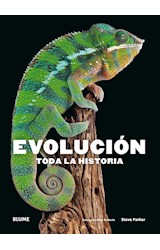 Papel EVOLUCION TODA LA HISTORIA (CARTONE)