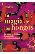 Papel MAGIA DE LOS HONGOS LOS HONGOS EN EL FOLCLORE LA SUPERSTICION Y LA MEDICINA TRADICIONAL (CARTONE)